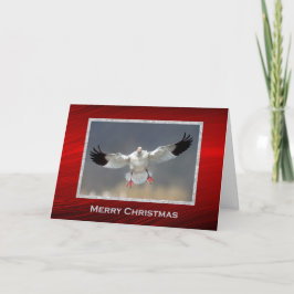 Tarjeta Festiva Navidades fotográficos de Wildlife Snow Goose