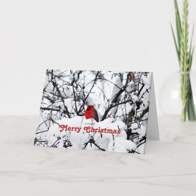 Tarjeta Festiva Navidades fotográficos del cardenal rojo Bonito (Anverso)