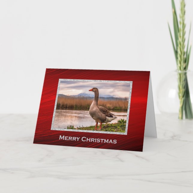 Tarjeta Festiva Navidades fotográficos del paisaje de Goose (Anverso)