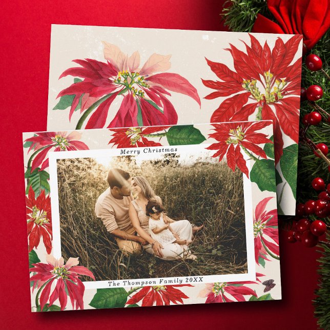 Tarjeta Festiva Navidades fotográficos familiares modernos y senci (Simple Modern Poinsettia Family Photo Christmas Holiday Card)