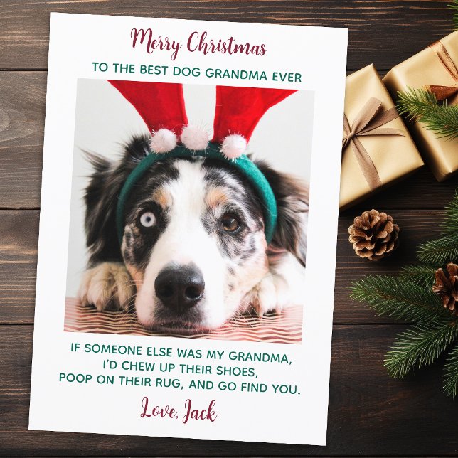 Tarjeta Festiva Navidades fotográficos Mascotas personalizados div (Subido por el creador)