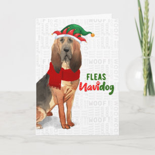 Tarjeta Festiva Navidades Funny Bloodhound Fleas NaviDOG