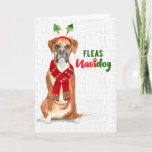 Tarjeta Festiva Navidades Funny Boxer Dog Fleas NaviDOG<br><div class="desc">Los amantes de los boxers pueden enviar o ser los afortunados destinatarios de este alegre saludo para la temporada navideña con un divertido tema de Fleas NaviDOG y un lindo perro boxeador vestido para la temporada.</div>