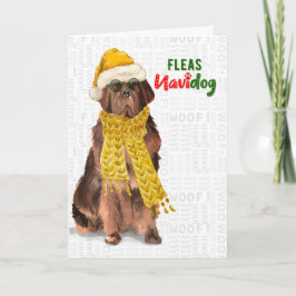 Tarjeta Festiva Navidades Funny Newfoundland Floas NaviDOG