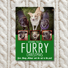 Tarjeta Festiva Navidades furtivos Navidades multicolores de perro
