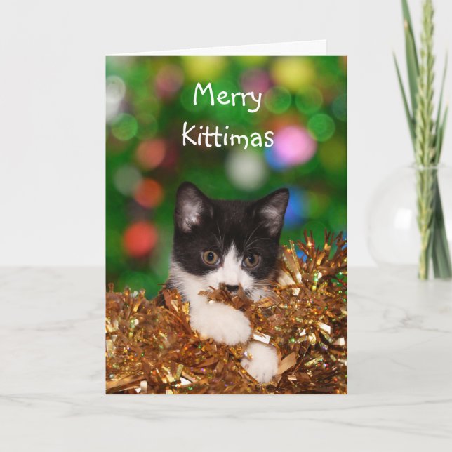 Tarjeta Festiva Navidades gatitos (Anverso)