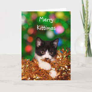 Tarjeta Festiva Navidades gatitos