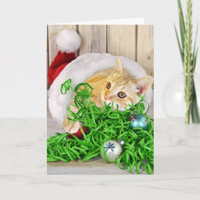 Tarjeta Festiva Navidades gatitos en gorra (Anverso)