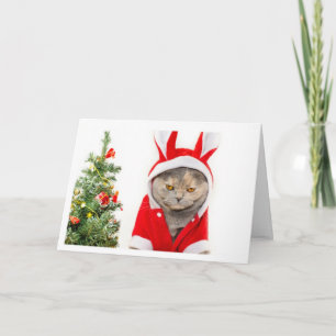 Tarjeta Festiva Navidades - Gato