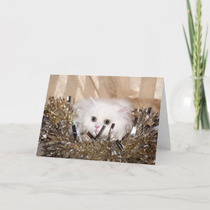 Tarjeta Festiva Navidades gatos de raza blanca