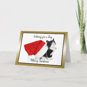 Tarjeta Festiva Navidades gatos gatitos tienen malos Navidades