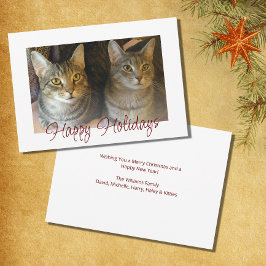 Tarjeta Festiva Navidades gatos lindo guión rojo festivo