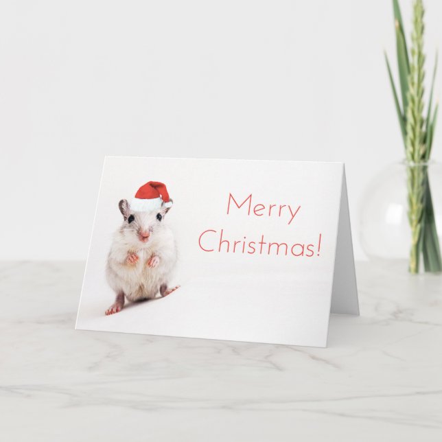 Tarjeta Festiva Navidades Gerbil Santa Hat Gerbils Santa Clause (Anverso)