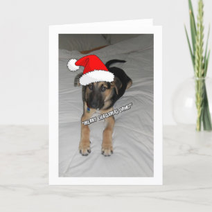 Tarjeta Festiva Navidades German Shepherd