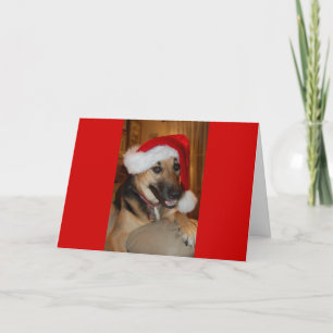 Tarjeta Festiva Navidades German Shepherd