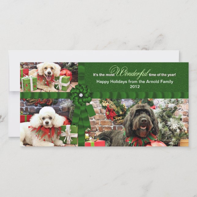 Tarjeta Festiva Navidades - Golden Doodle Poodle Cockapoo - Arnold (Anverso)