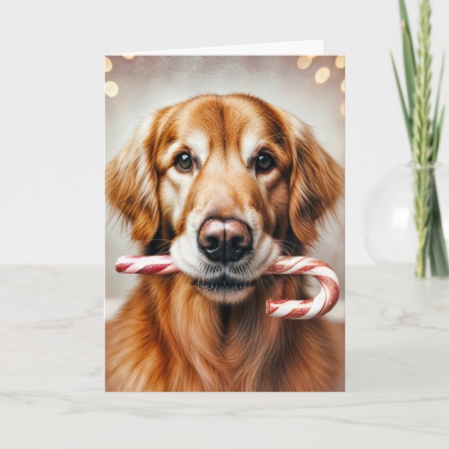 Tarjeta Festiva Navidades Golden Retriever con un bastón de canto (Anverso)