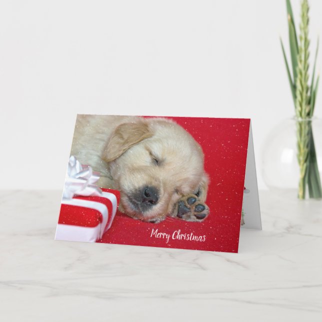 Tarjeta Festiva Navidades Golden Retriever Puppy (Anverso)