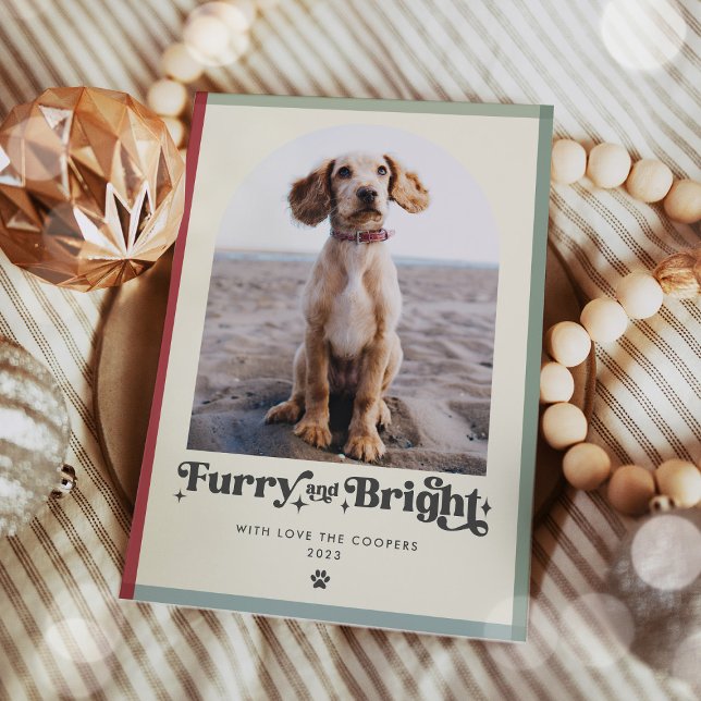 Tarjeta Festiva Navidades Graciosos De Fotos De Perro Luminoso Y L (Subido por el creador)