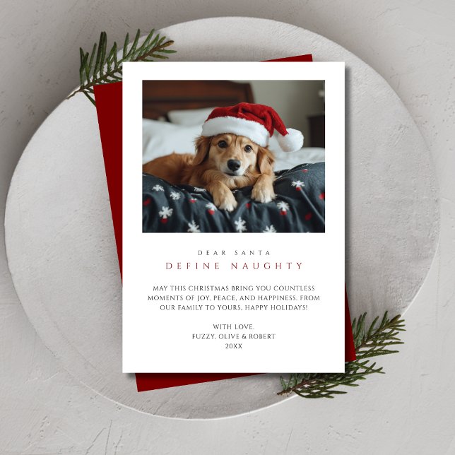 Tarjeta Festiva Navidades graciosos de fotos de perros definen a u (Subido por el creador)