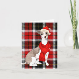 Tarjeta Festiva Navidades Greyhound italiano y Holiday Plaid