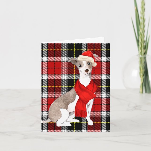Tarjeta Festiva Navidades Greyhound italiano y Holiday Plaid (Anverso)