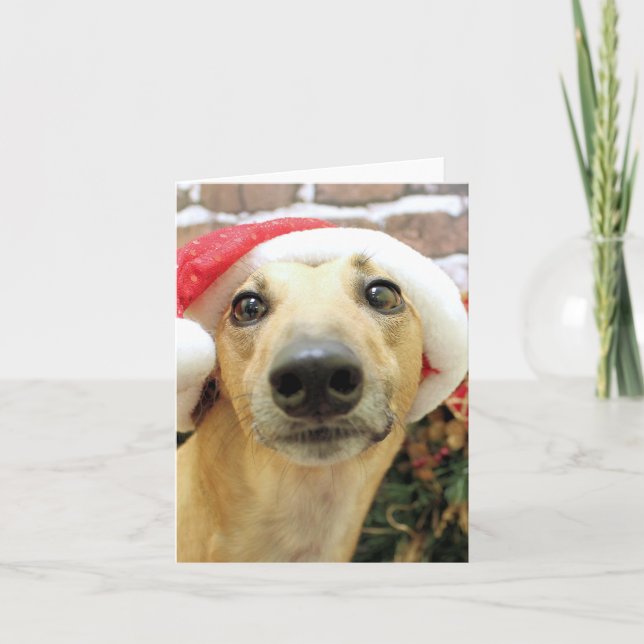 Tarjeta Festiva Navidades - Greyhound - Pena (Anverso)