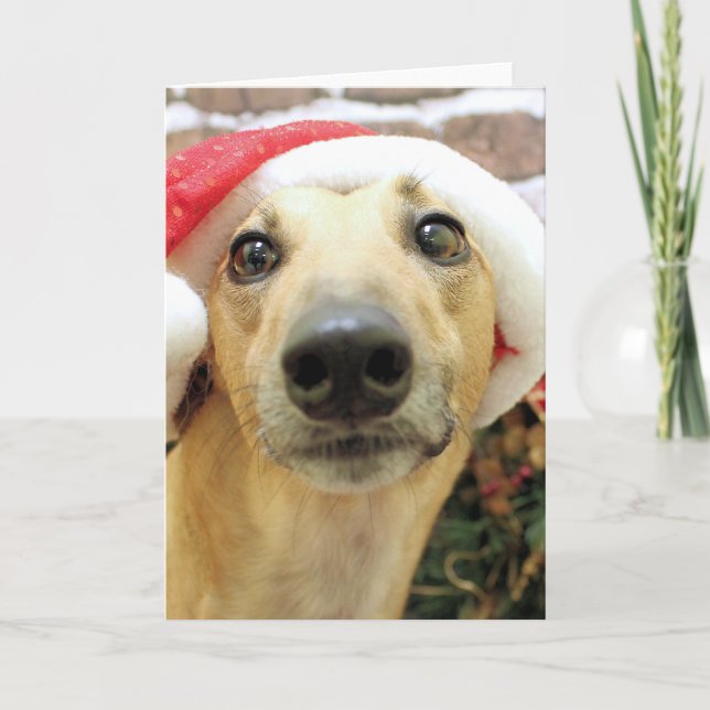 Tarjeta Festiva Navidades - Greyhound - Pena (Anverso)
