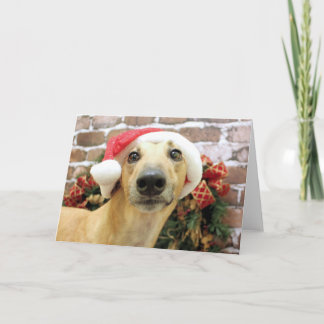 Tarjeta Festiva Navidades - Greyhound - Pena