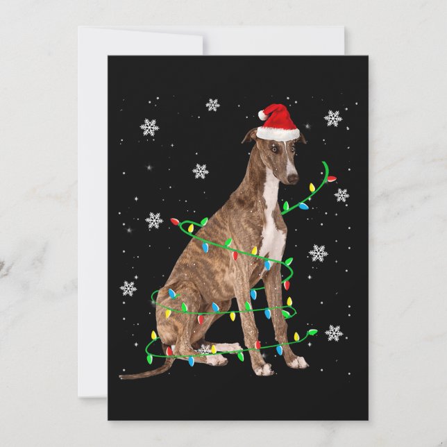Tarjeta Festiva navidades grises iluminan lindo santa greyhound (Anverso)