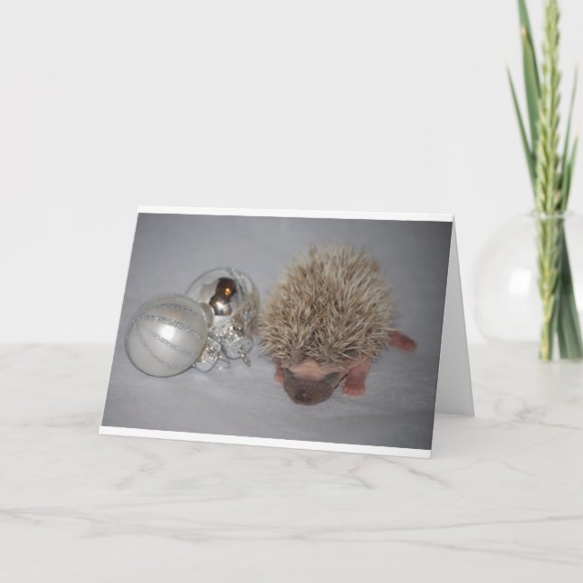 Tarjeta Festiva Navidades Hedgehog (Anverso)