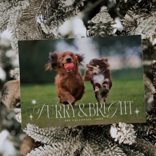 Tarjeta Festiva Navidades horizontales fotográficos de perros pelu