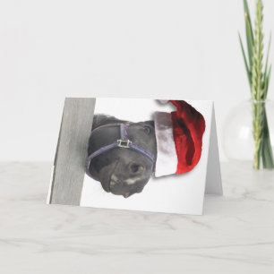 Tarjeta Festiva Navidades Horse Santa Claus