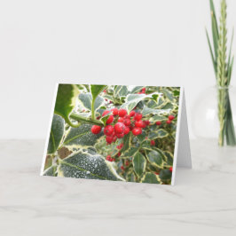 Tarjeta Festiva navidades huecas de helado