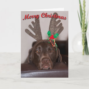 Tarjeta Festiva Navidades humorísticos Labrador con vendedores Pur