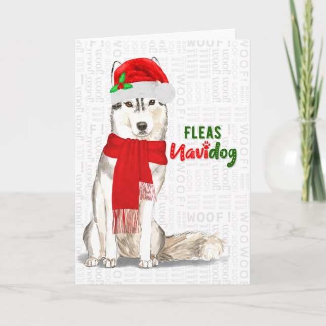 Tarjeta Festiva Navidades Huskey Siberianos Flotas de Perro NaviDO (Anverso)