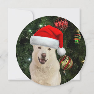Tarjeta Festiva Navidades Husky de Ronda Personalizada de Santa Pa