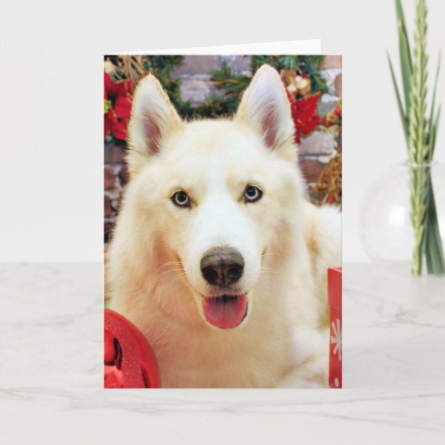 Tarjeta Festiva Navidades - Husky siberiano - Retratos de Teagarde (Anverso)