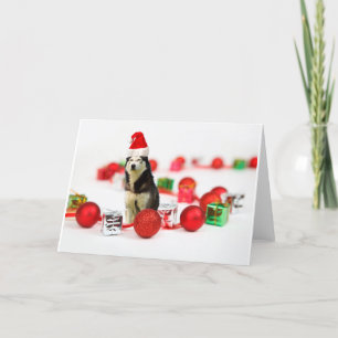 Tarjeta Festiva Navidades Husky siberianos con una caja de regalo