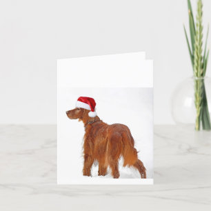Tarjeta Festiva Navidades irlandeses Setter