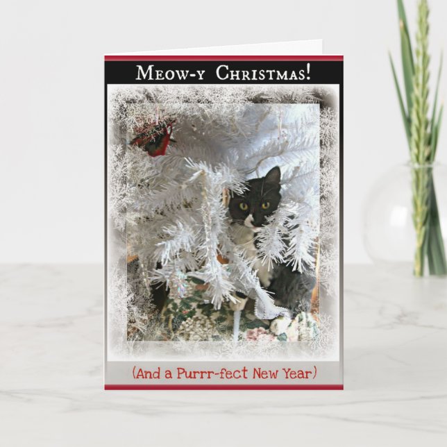 Tarjeta Festiva Navidades Kitten Greetings from Inside the Tree (Anverso)