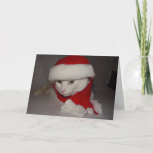 Tarjeta Festiva Navidades Kitty