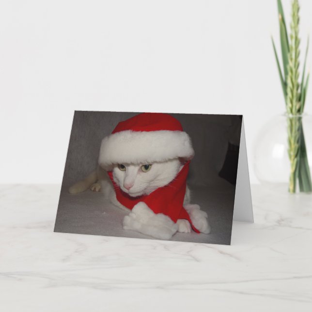 Tarjeta Festiva Navidades Kitty (Anverso)