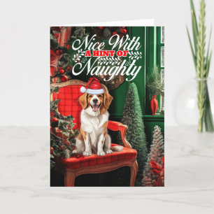 Tarjeta Festiva Navidades Kooikerhondje Perro travieso o agradable