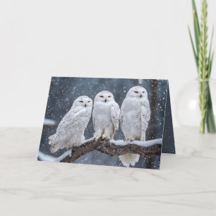 Tarjeta Festiva Navidades Lechuzas Snowy