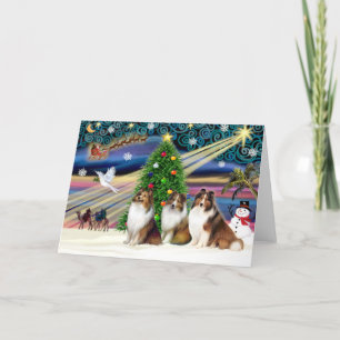 Tarjeta Festiva Navidades Magic Shetland Sheepdogs (3 Sable)