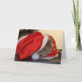 Tarjeta Festiva Navidades Maine Coon