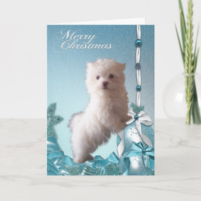Tarjeta Festiva Navidades malteses de perros copiosos (Anverso)
