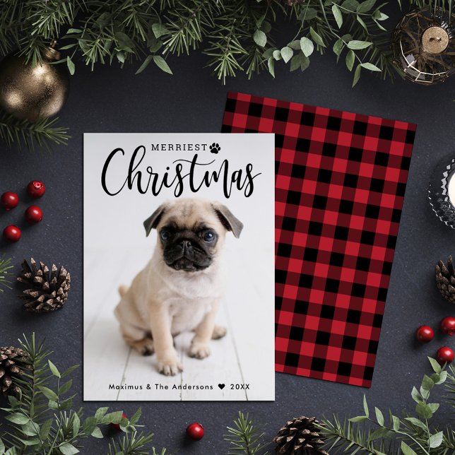 Tarjeta Festiva Navidades más graciosos: foto de Mascota de escúfa (Subido por el creador)