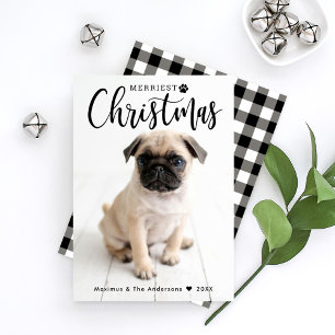 Tarjeta Festiva Navidades más graciosos foto de Mascota de escúfal